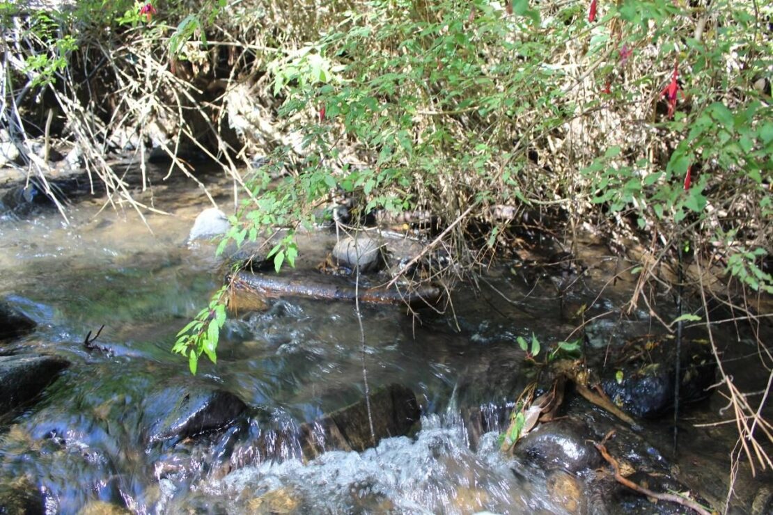 El Río Penco en el sector que se vería afectado por el proyecto.