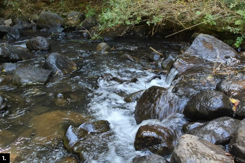 setor do rio onde foram monitorados macro invertebrados